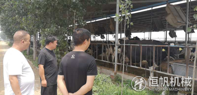 鄭州恒帆機(jī)械為溫縣客戶實(shí)地規(guī)劃年產(chǎn)三萬噸牛糞有機(jī)肥生產(chǎn)線項目(圖1) 鐘經(jīng)理在客戶的帶領(lǐng)下參觀牛養(yǎng)殖場